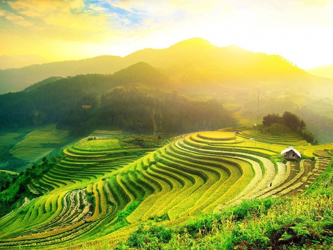 Sapa Tour by Bus 2 Days 1 Night - 3 Star Hotel in Sapa