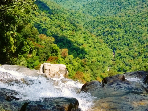 Bach Ma national Park trekking tour full day