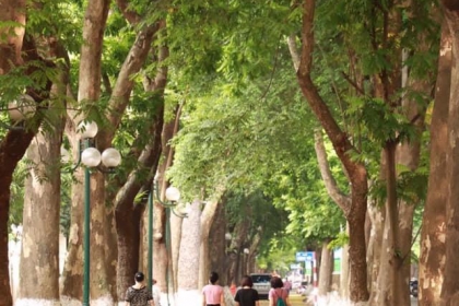 Remember Hanoi autumn