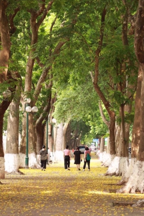 Remember Hanoi autumn