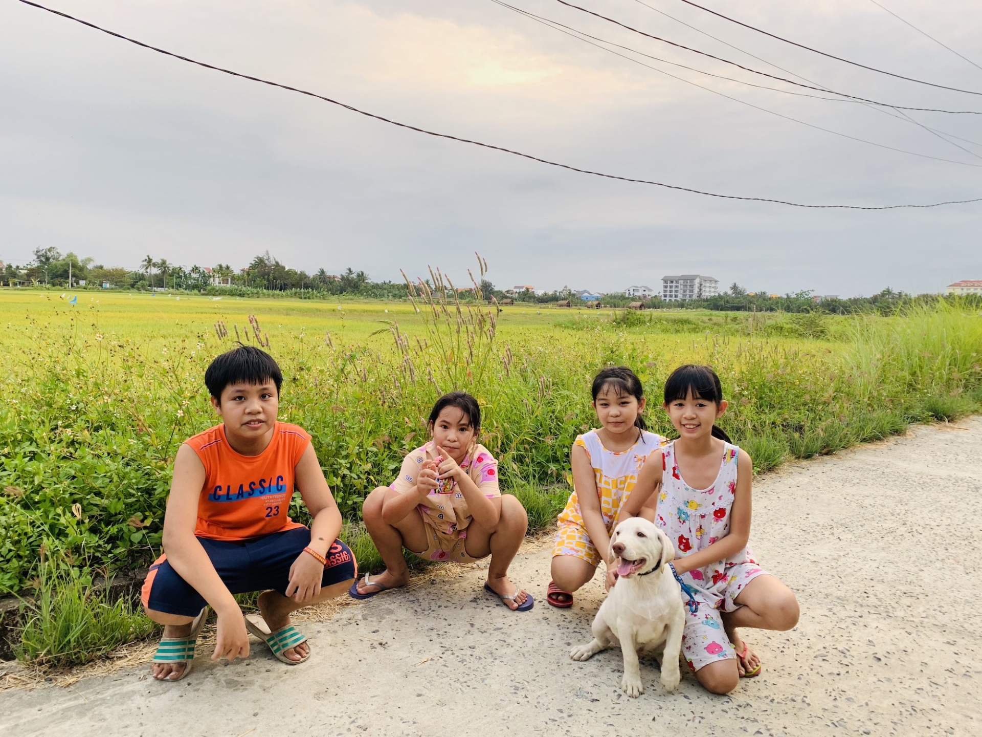 Peace in the countryside of Hoi An.
