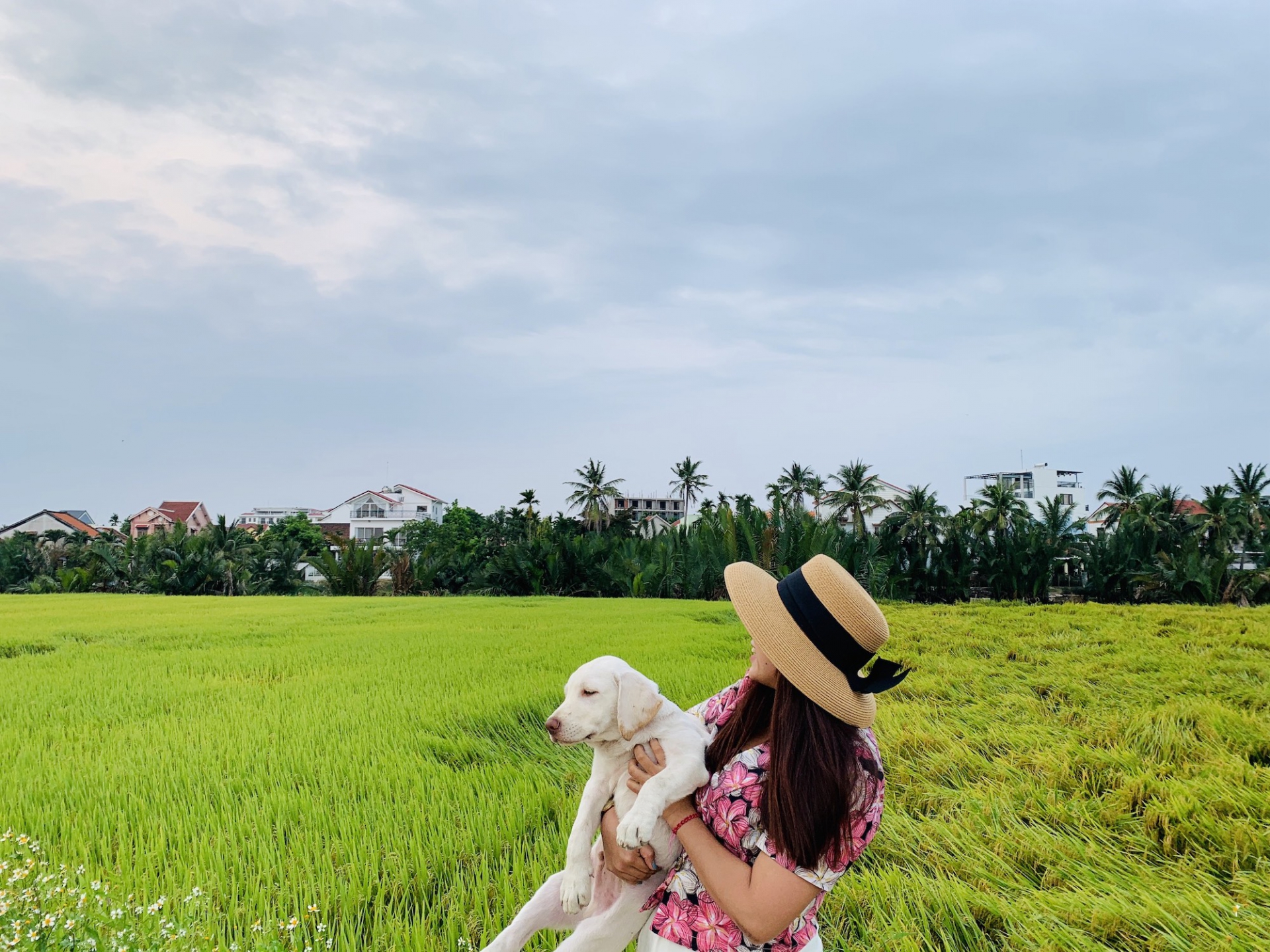 Peace in the countryside of Hoi An 4