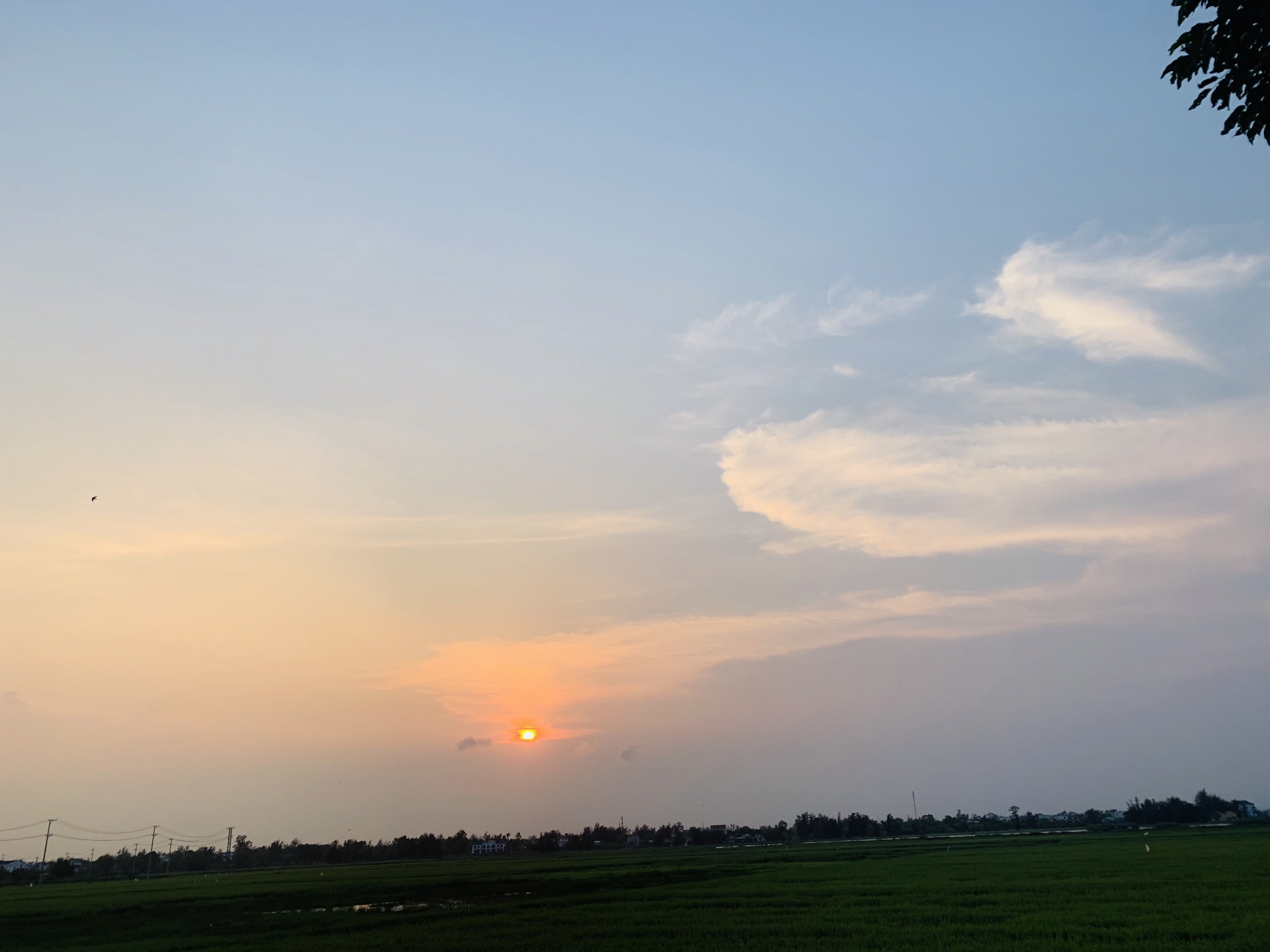 Peace in the countryside of Hoi An 5