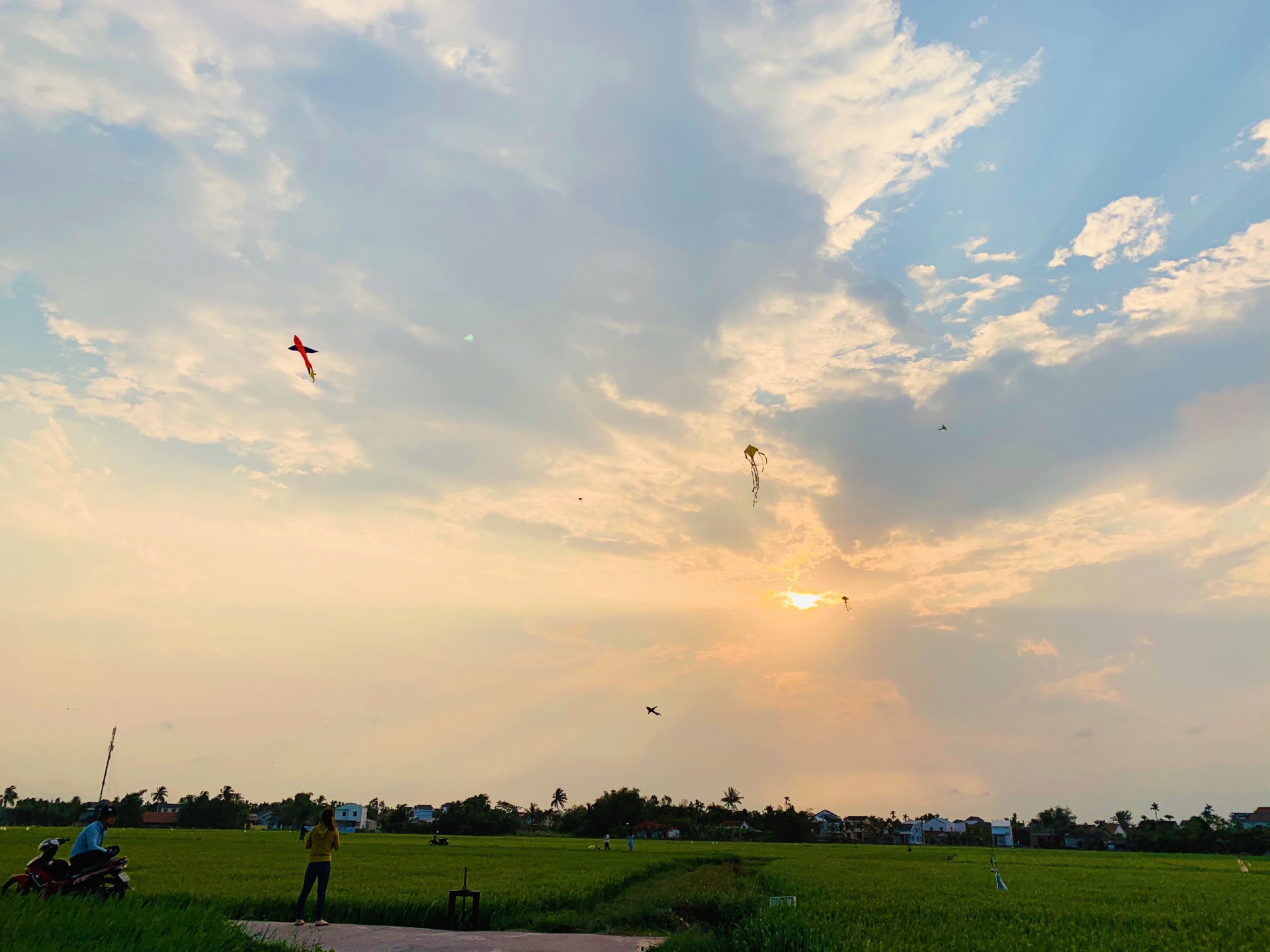 Peace in the countryside of Hoi An 7