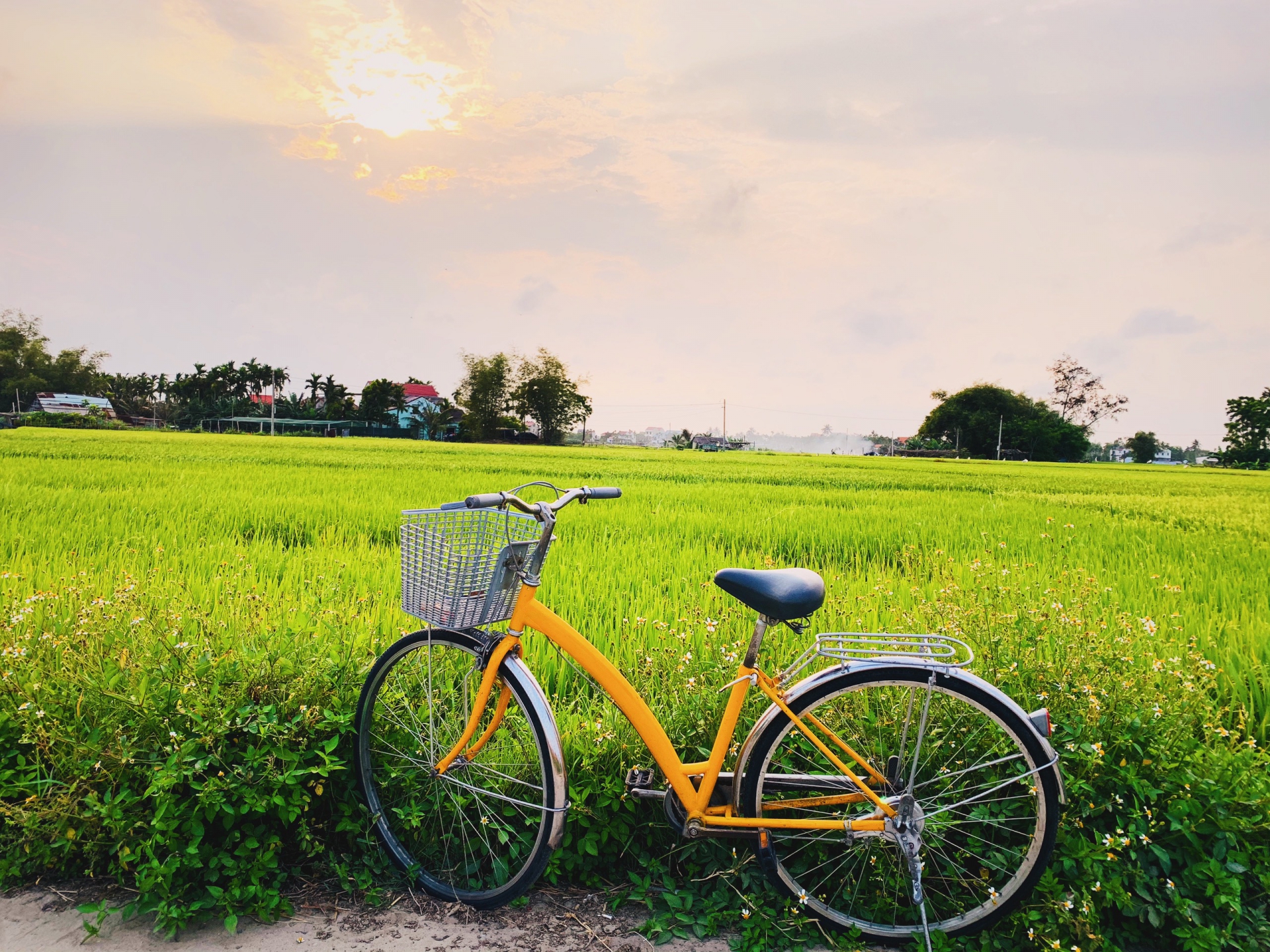 Peace in the countryside of Hoi An 8