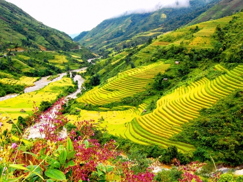 Sapa Tour By Train 3 Days 4 Nights - 2 Nights in 3 Star Hotel Sapa Tour By Train 3 Days 4 Nights - 2 Nights in 3 Star Hotel