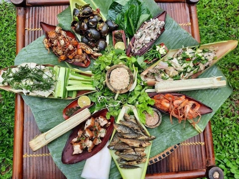 Phong Nha Cave - Dark Cave Boat and Bike Tour Phong Nha Cave - Dark Cave Boat and Bike Tour